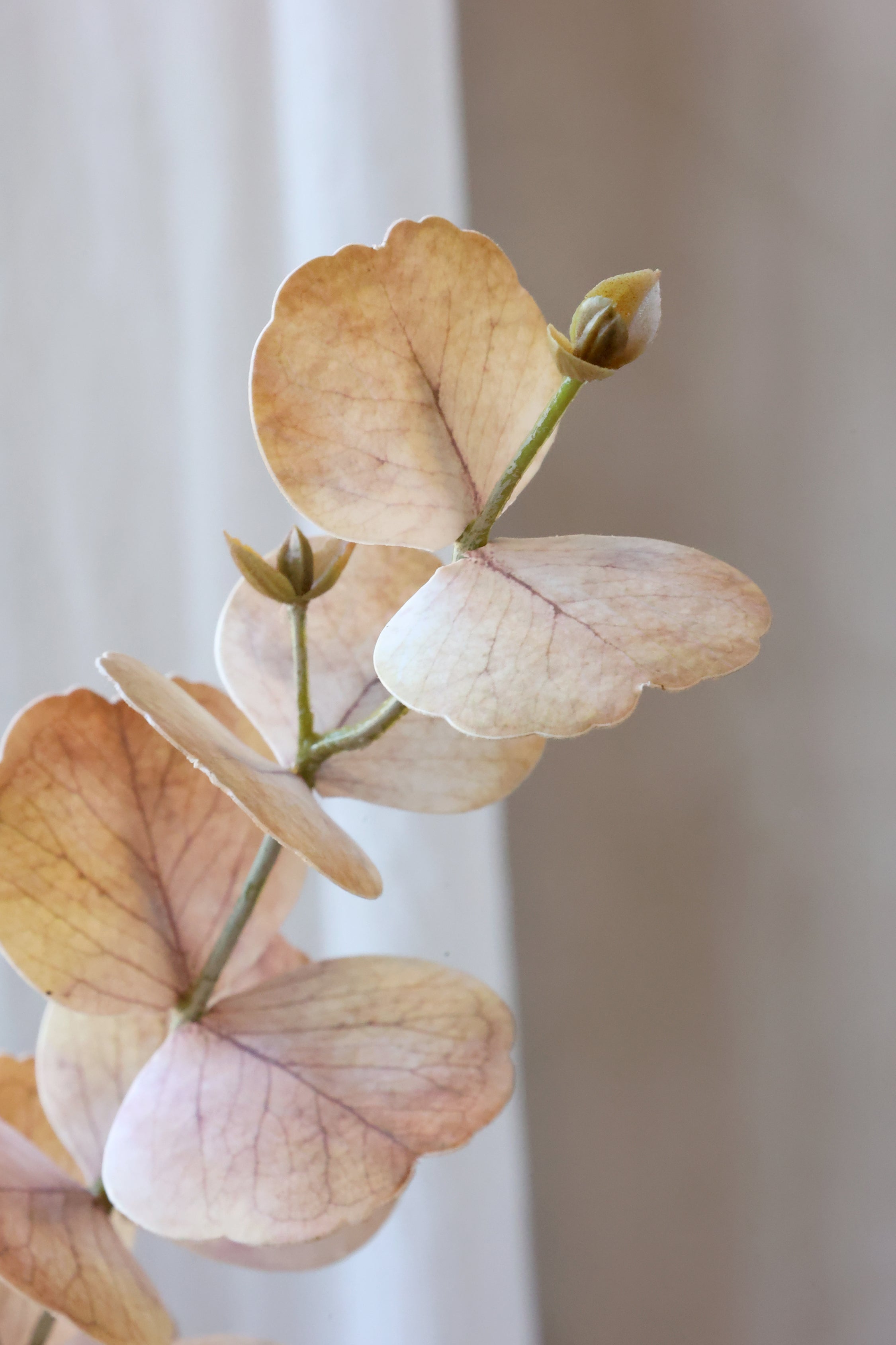 Eukalyptus Silk Touch, Gammelrosa, 77 cm (4-pack)